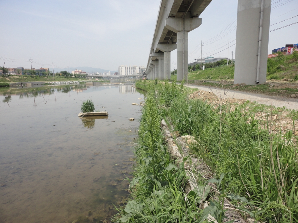 용인시 경안천  6개월후